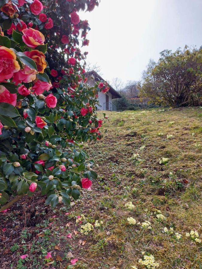 Willa La Casa Delle Camelie Stresa Zewnętrze zdjęcie