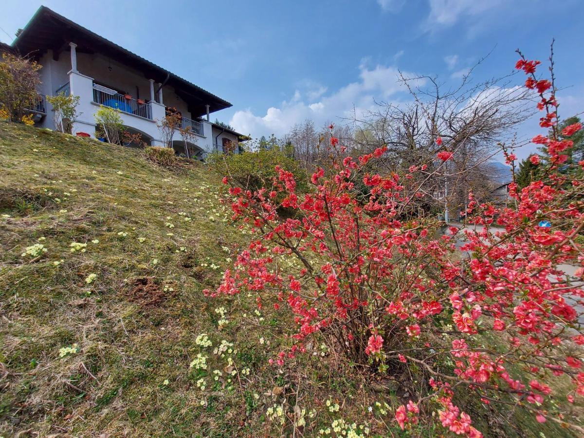 Willa La Casa Delle Camelie Stresa Zewnętrze zdjęcie